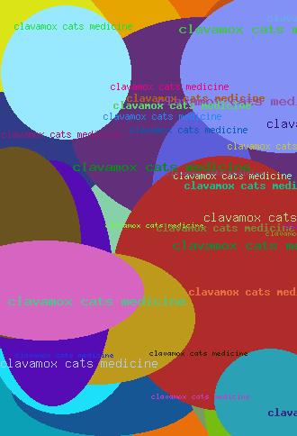 CLAVAMOX CATS MEDICINE