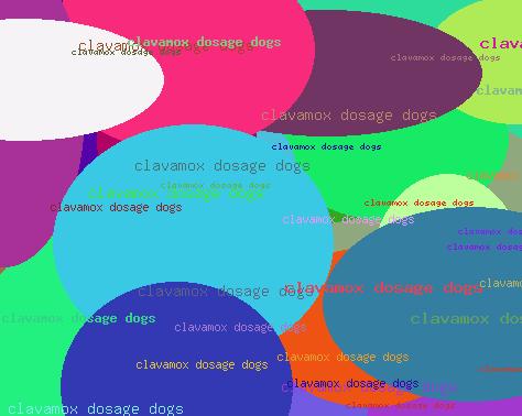 Clavamox dosage dogs